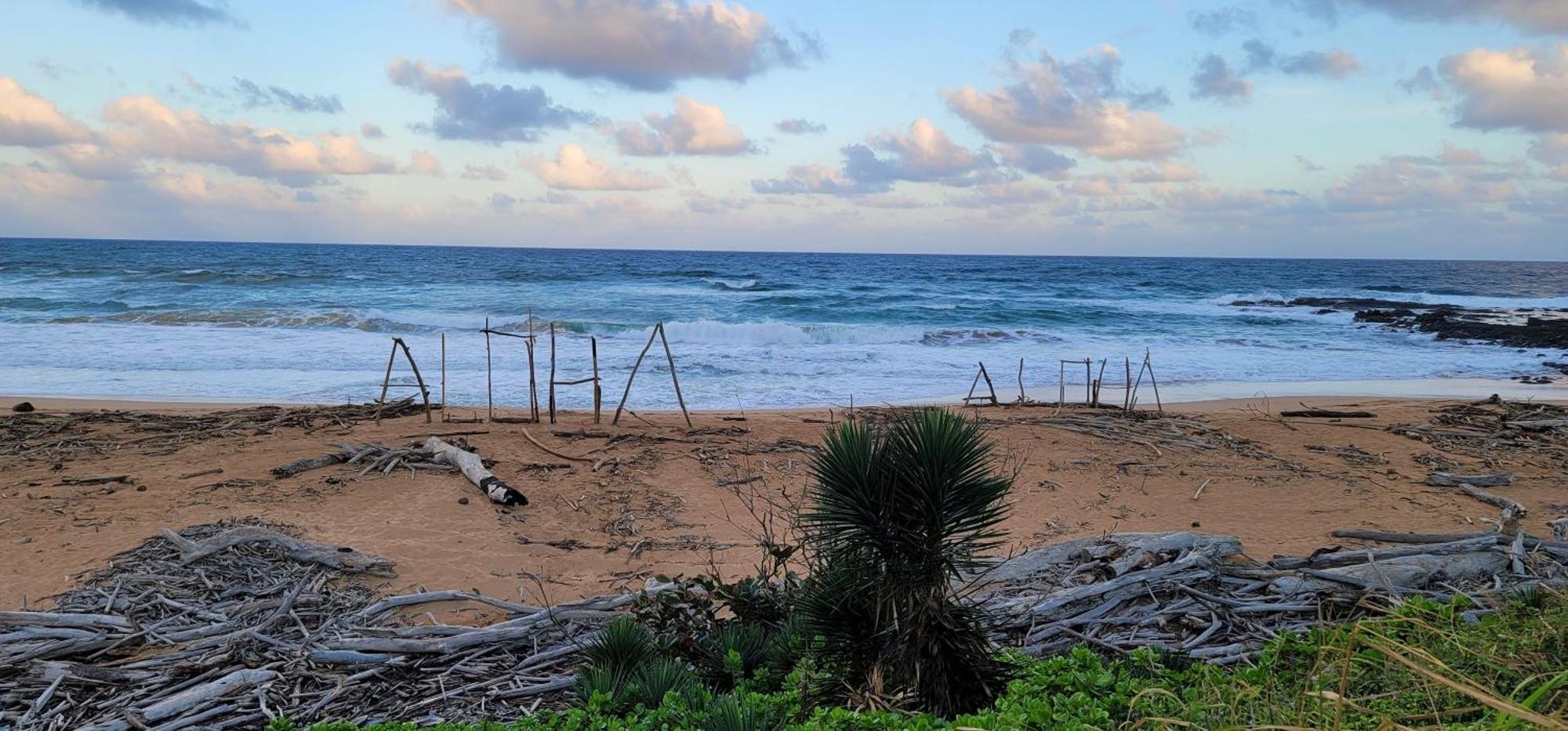 Oceanfront Kauai - Harmony Tvnc 4247 Villa Kapa'a Dış mekan fotoğraf